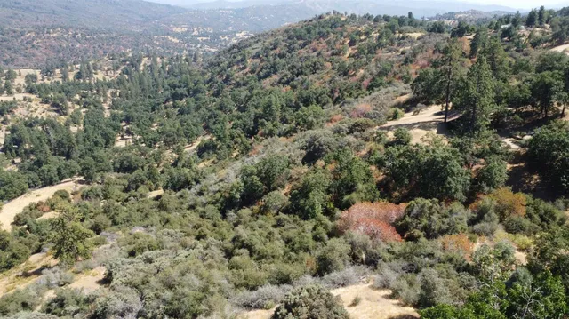 $305,000 | 52925 Hogback, Miramonte, CA 93603