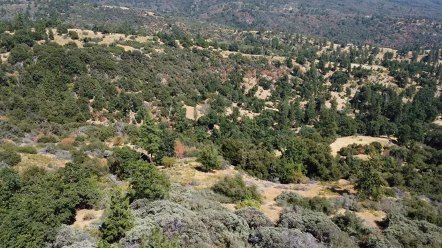 $305,000 | 52925 Hogback, Miramonte, CA 93603