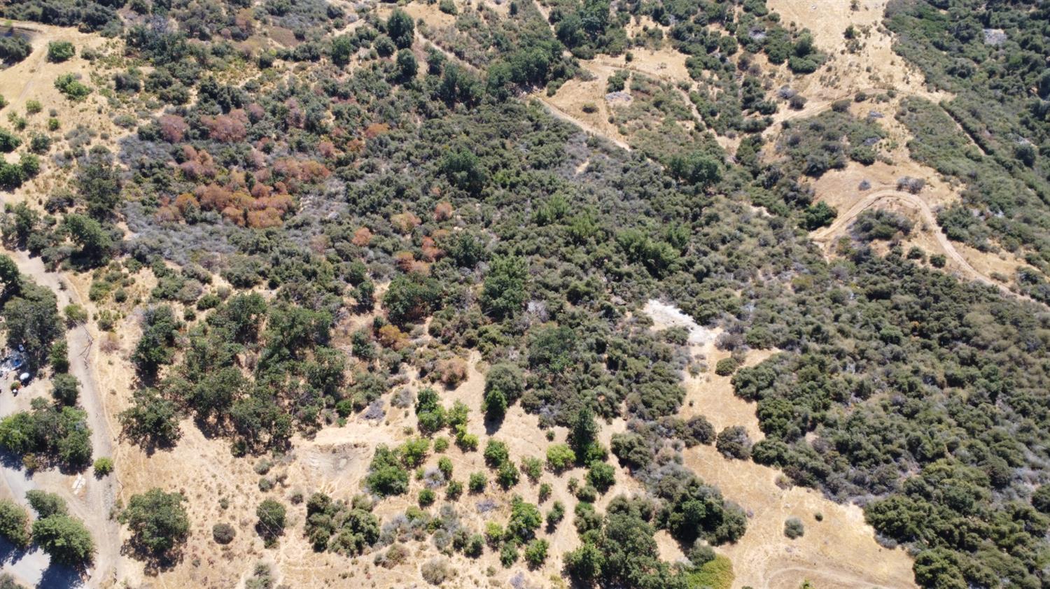 52925 Hogback Miramonte, CA 93603 - Photo 75 of 89 a view of a dry yard