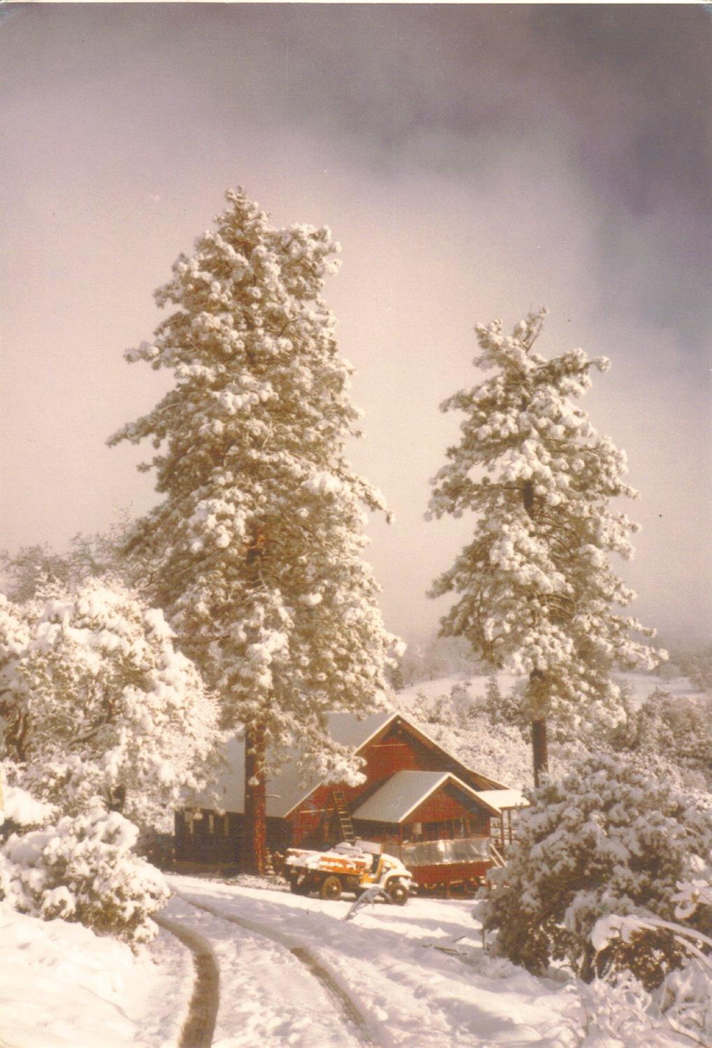 52925 Hogback Miramonte, CA 93603 - Photo 8 of 89