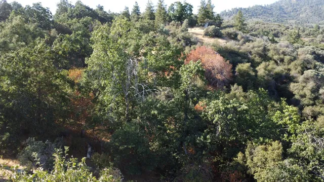 $305,000 | 52925 Hogback, Miramonte, CA 93603