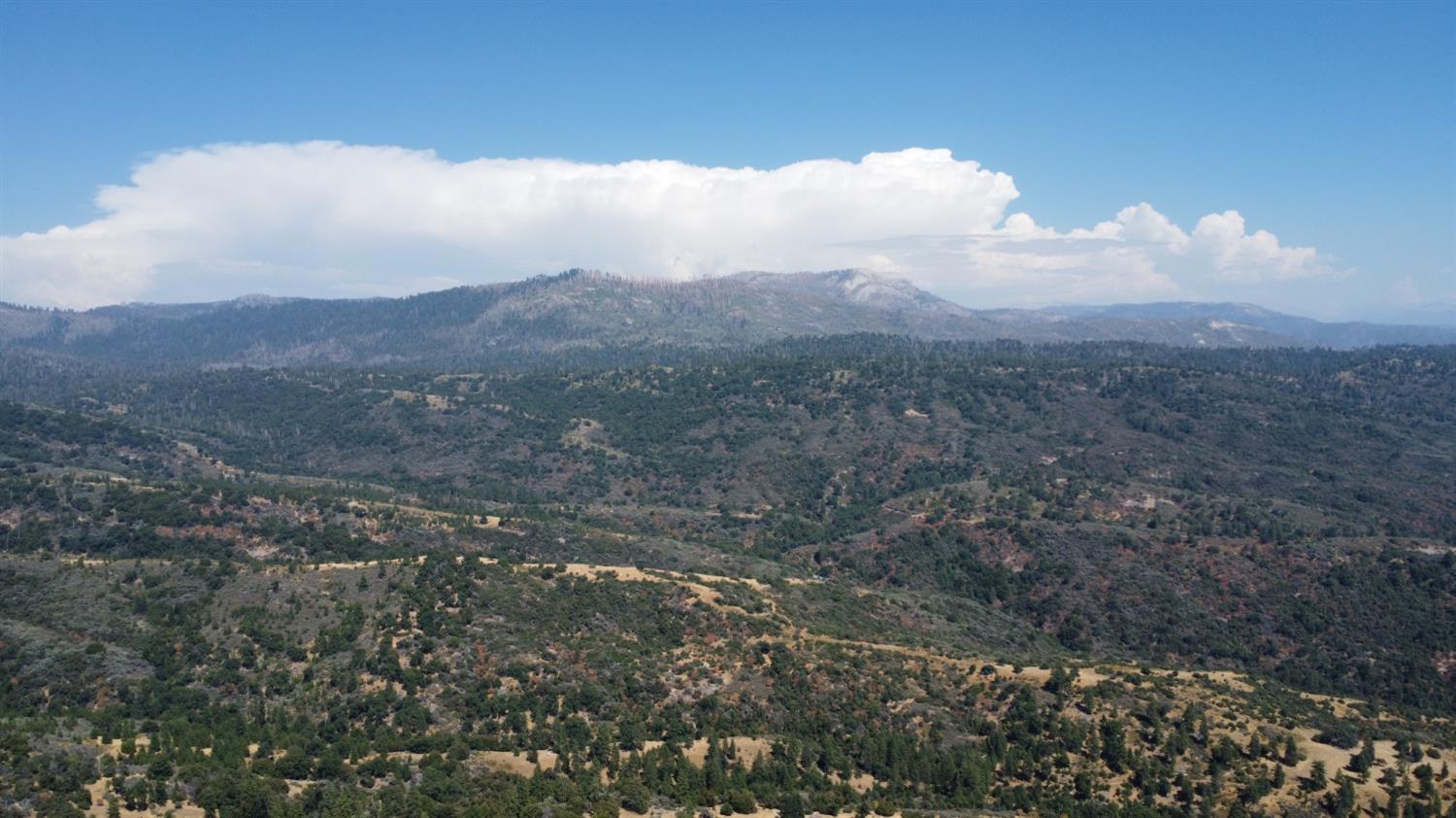 52925 Hogback Miramonte, CA 93603 - Photo 9 of 89 a view of mountain