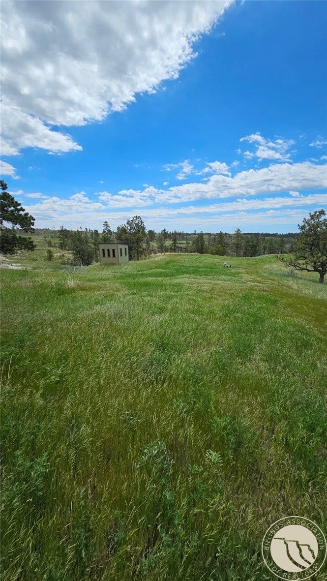 2168 Trophy Rdg Lane Roy, MT 59471 - Photo 20 of 36 Gallery Image 20