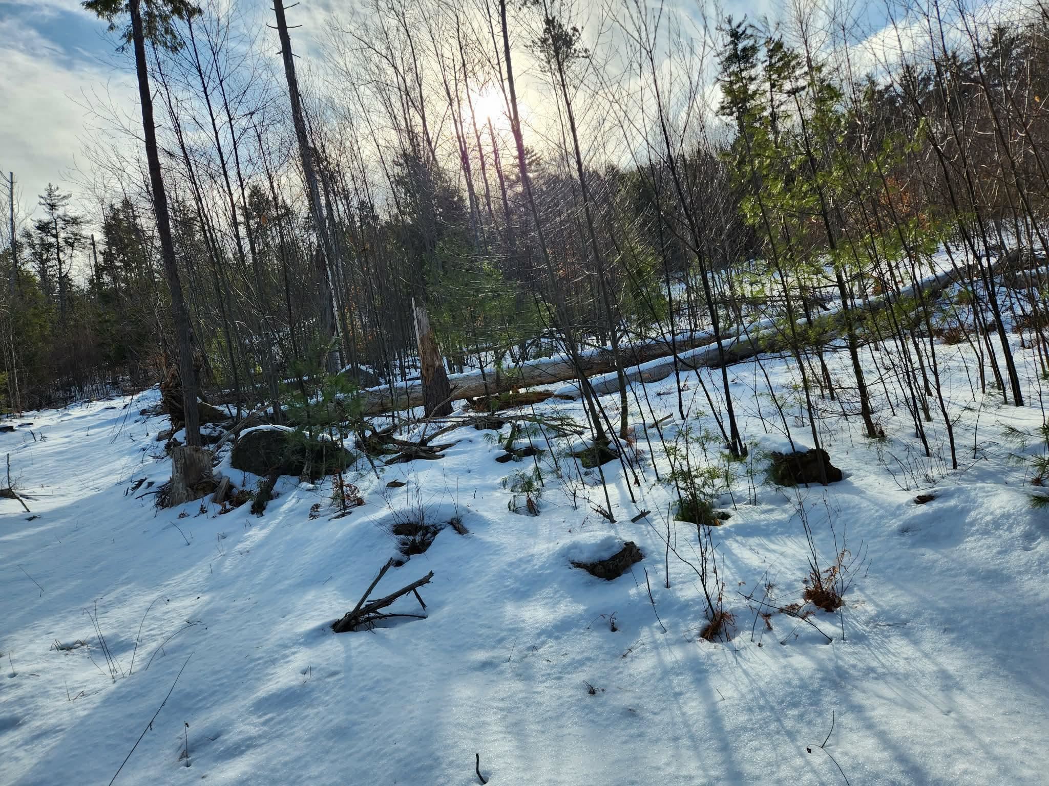 0 Munsey Road, Unit 123106 Gilmanton, NH 03237 - Photo 15 of 30