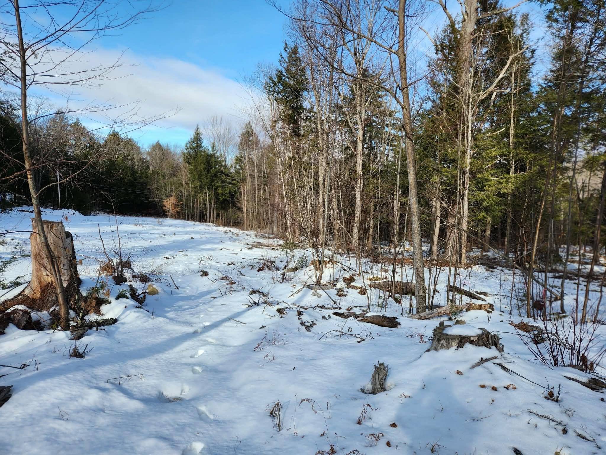 0 Munsey Road, Unit 123106 Gilmanton, NH 03237 - Photo 20 of 30