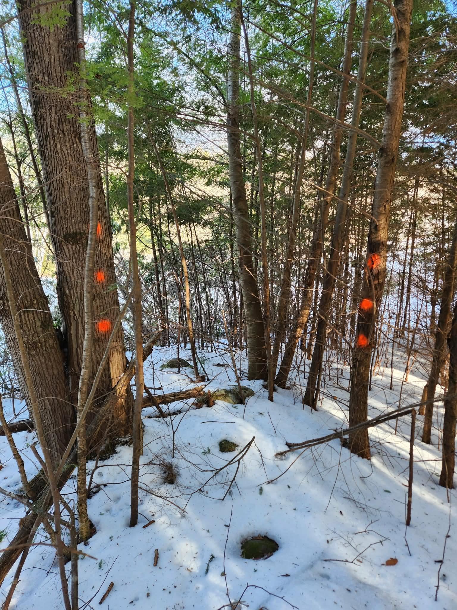 0 Munsey Road, Unit 123106 Gilmanton, NH 03237 - Photo 21 of 30