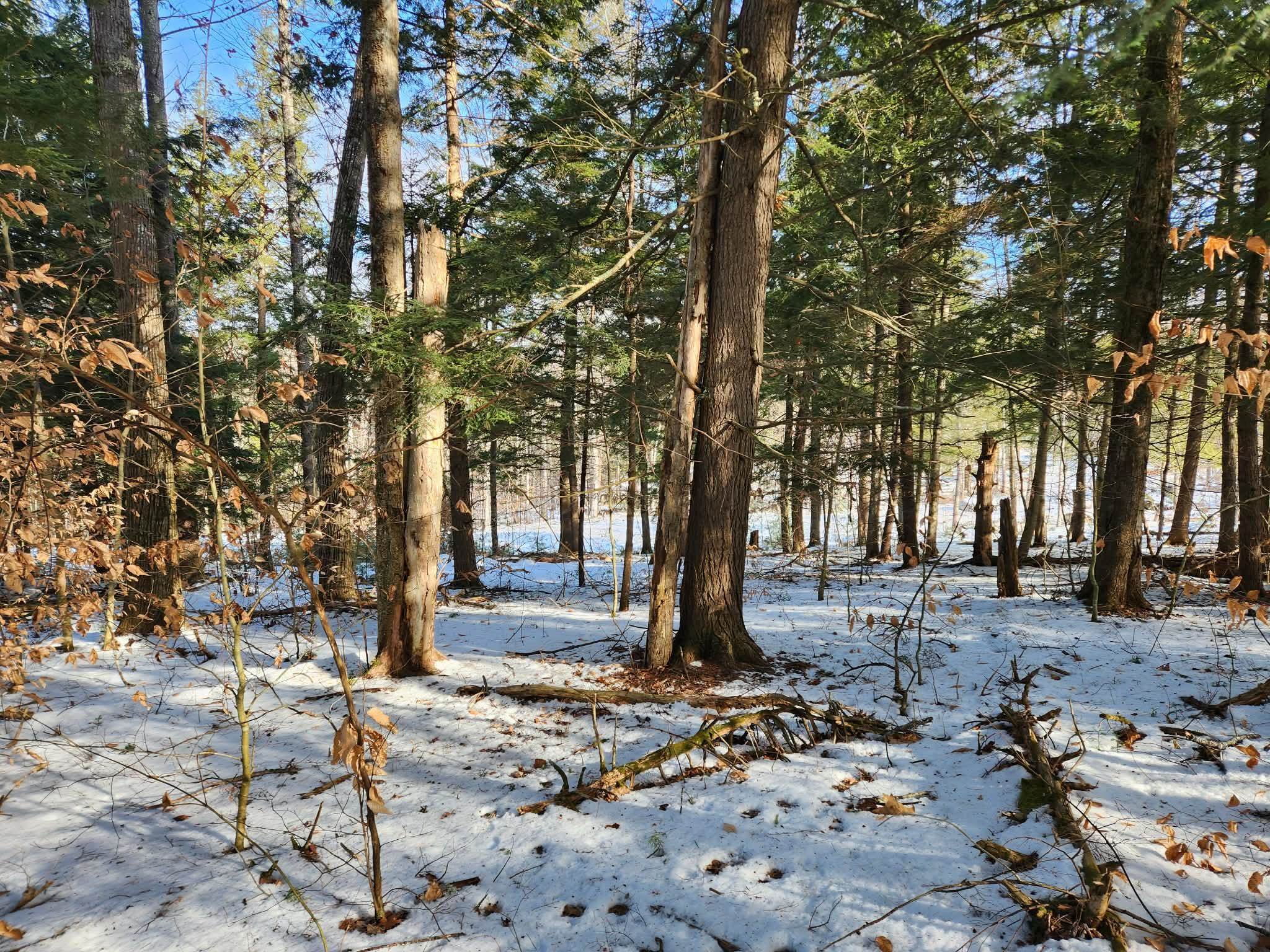 0 Munsey Road, Unit 123106 Gilmanton, NH 03237 - Photo 23 of 30