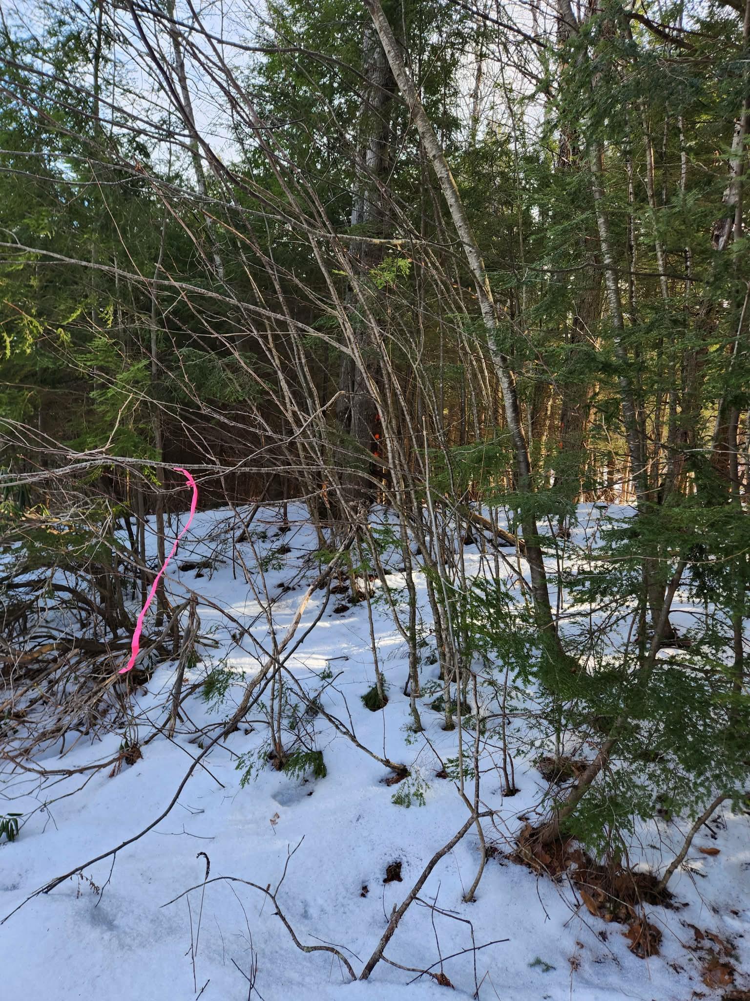 0 Munsey Road, Unit 123106 Gilmanton, NH 03237 - Photo 27 of 30