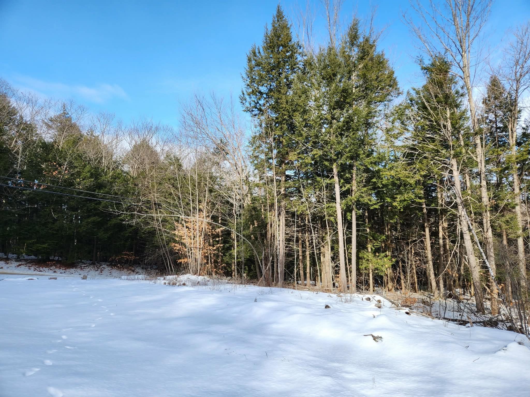 0 Munsey Road, Unit 123106 Gilmanton, NH 03237 - Photo 29 of 30