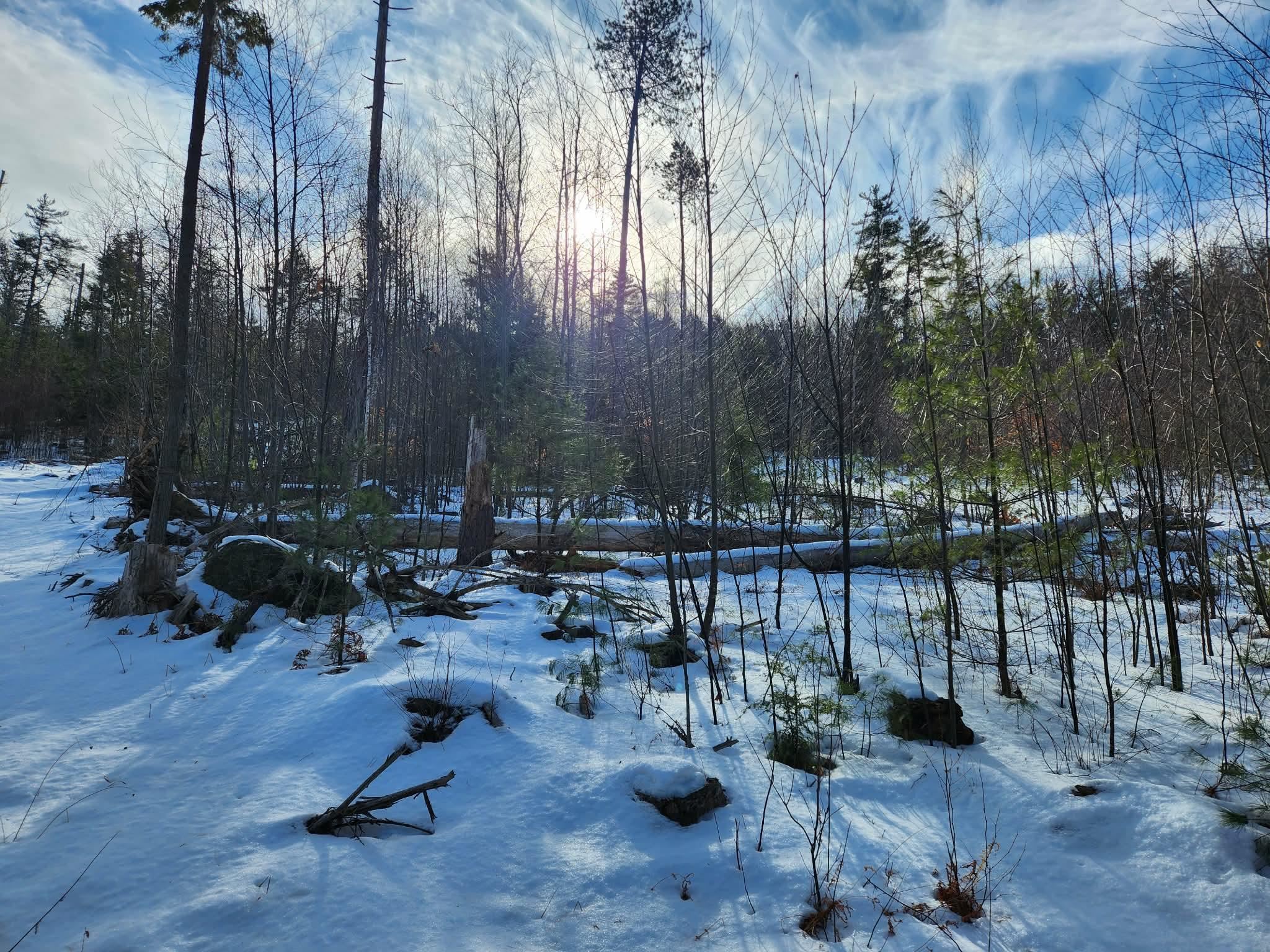 0 Munsey Road, Unit 123106 Gilmanton, NH 03237 - Photo 30 of 30