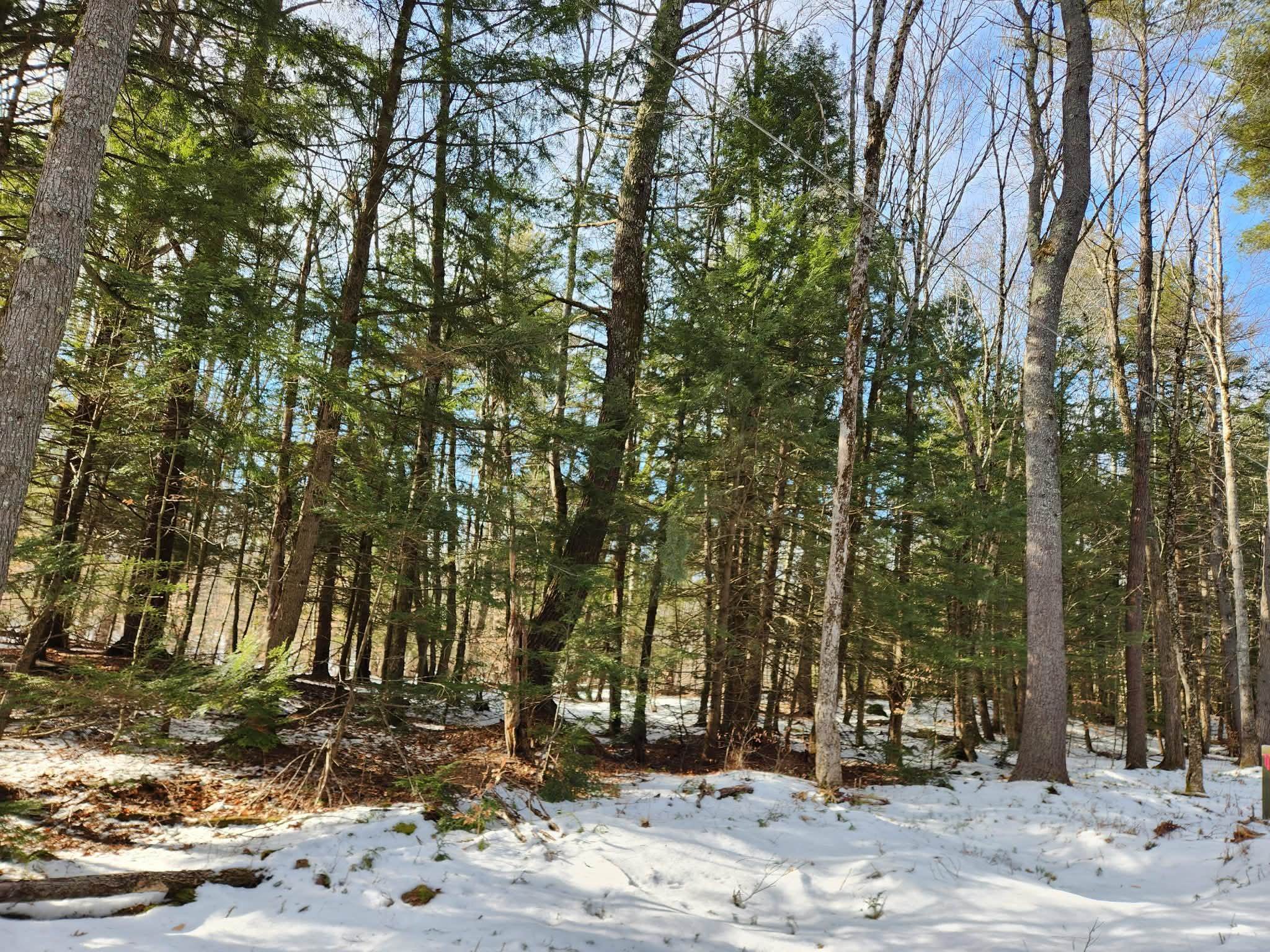 0 Munsey Road, Unit 123106 Gilmanton, NH 03237 - Photo 4 of 30