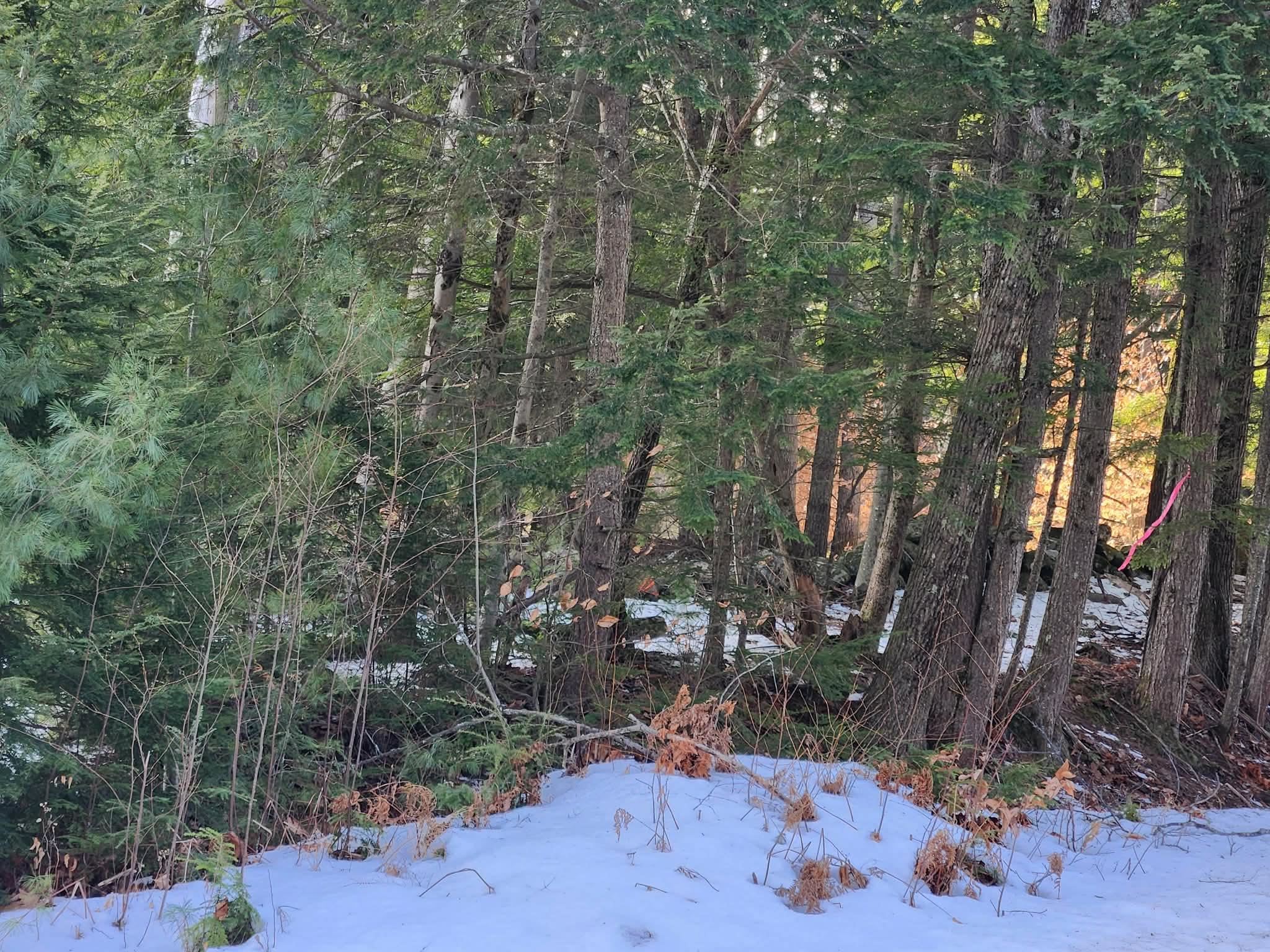 0 Munsey Road, Unit 123106 Gilmanton, NH 03237 - Photo 5 of 30