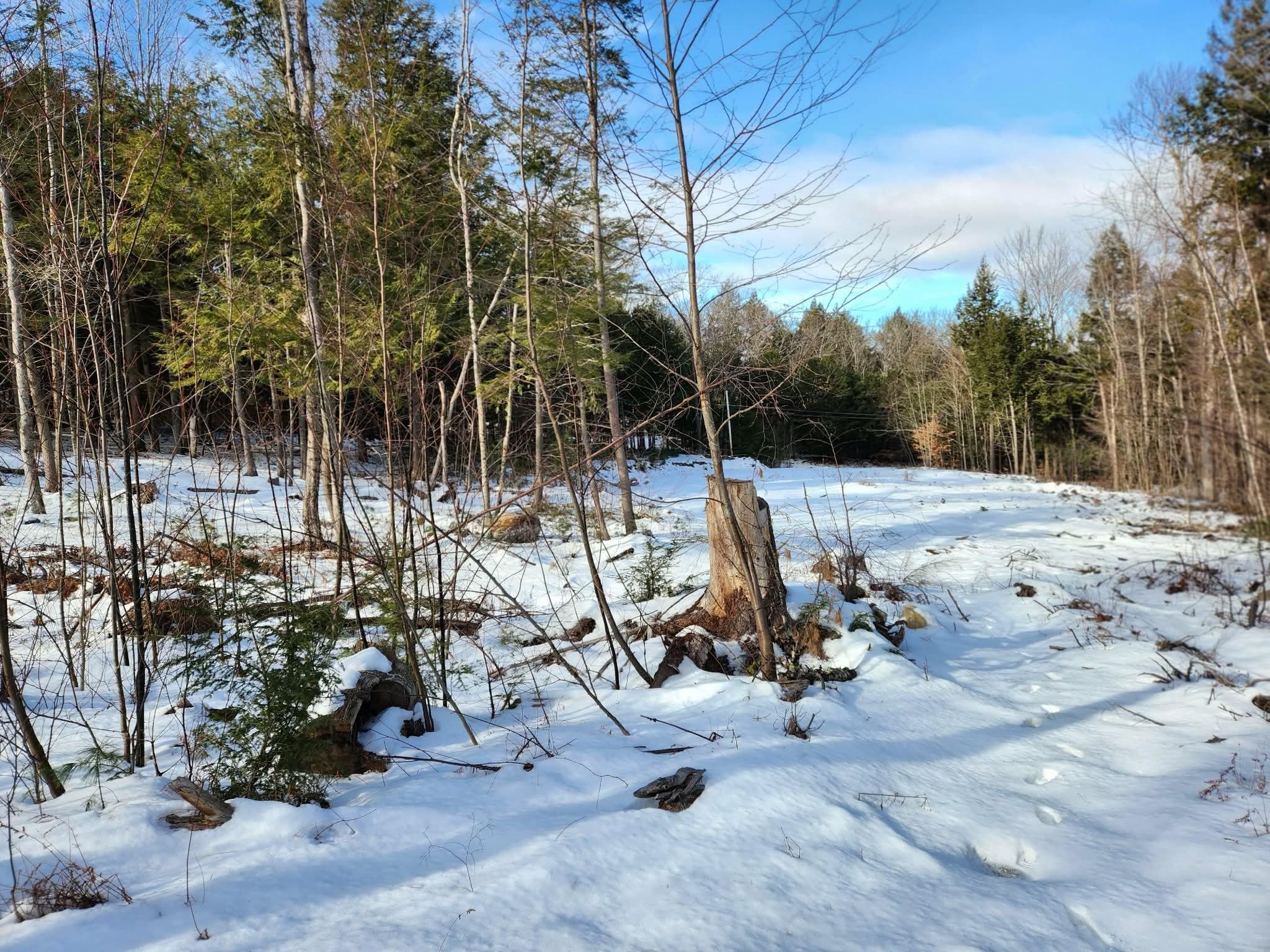 0 Munsey Road, Unit 123106 Gilmanton, NH 03237 - Photo 6 of 30