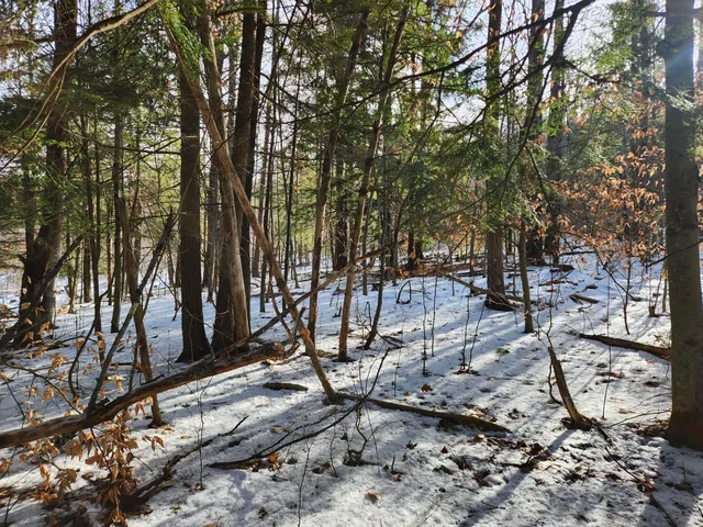 $115,000 | 0 Munsey Road, Unit 123106, Gilmanton, NH 03237