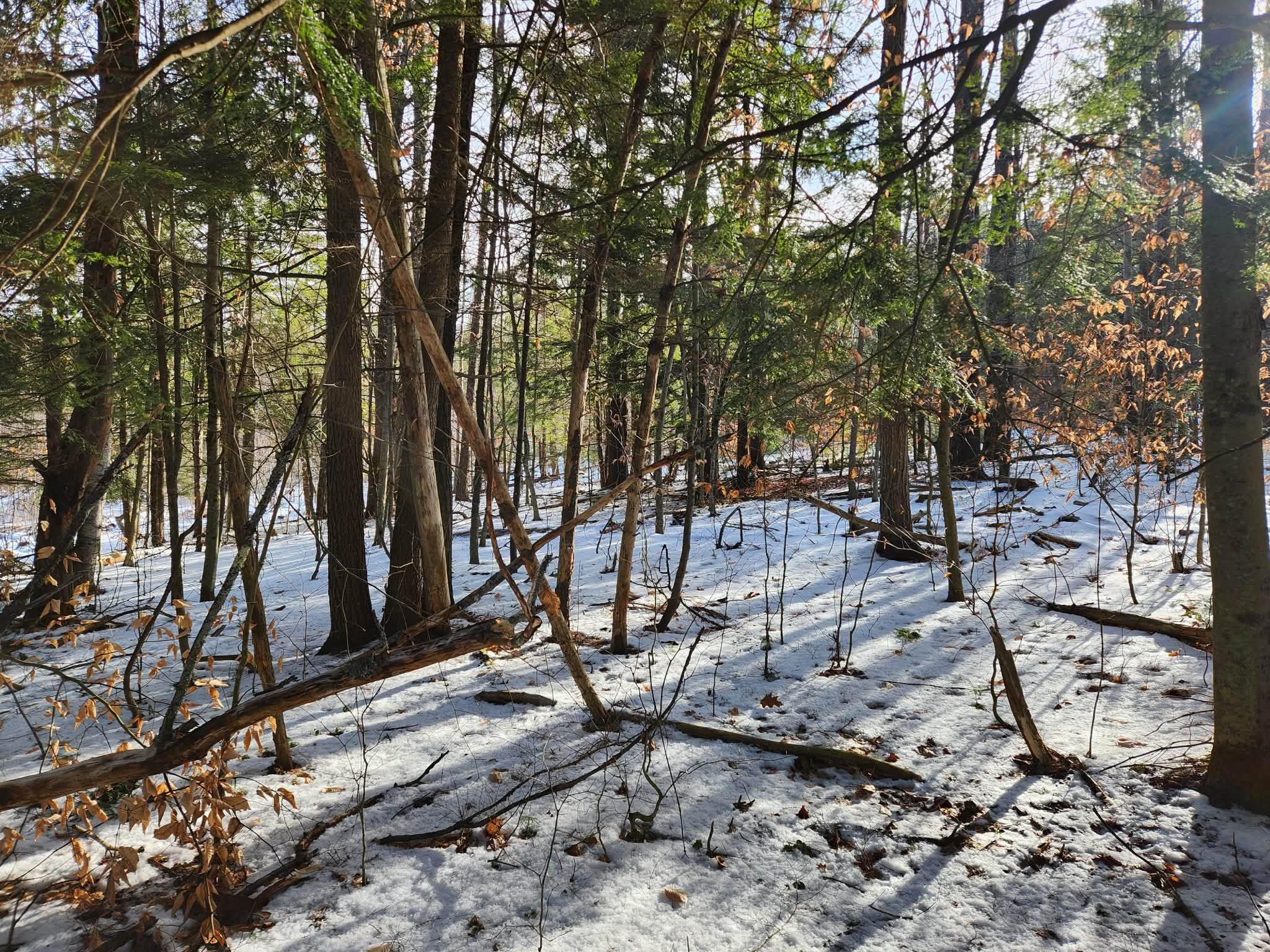 0 Munsey Road, Unit 123106 Gilmanton, NH 03237 - Photo 8 of 30