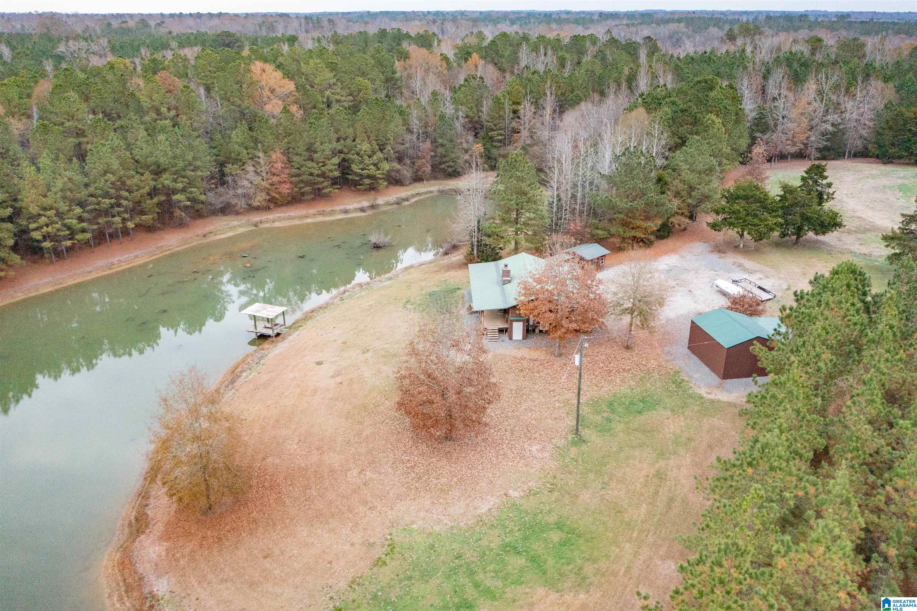 1444 Thrasher Road Sawyerville, AL 36776 - Photo 7 of 47