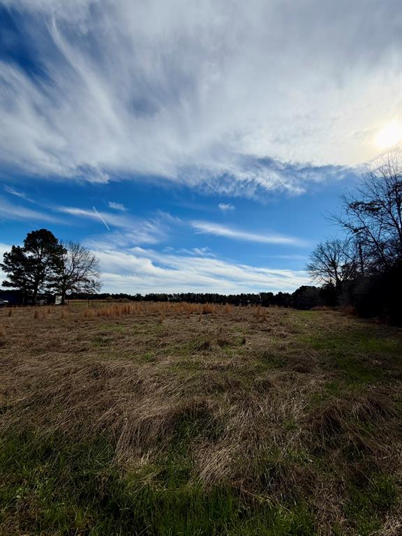 0 Benton Adkins Road Coushatta, LA 71019 - Photo 3 of 5