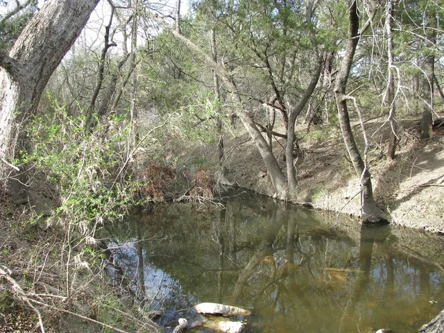 a backyard of a house with a yard and lake view