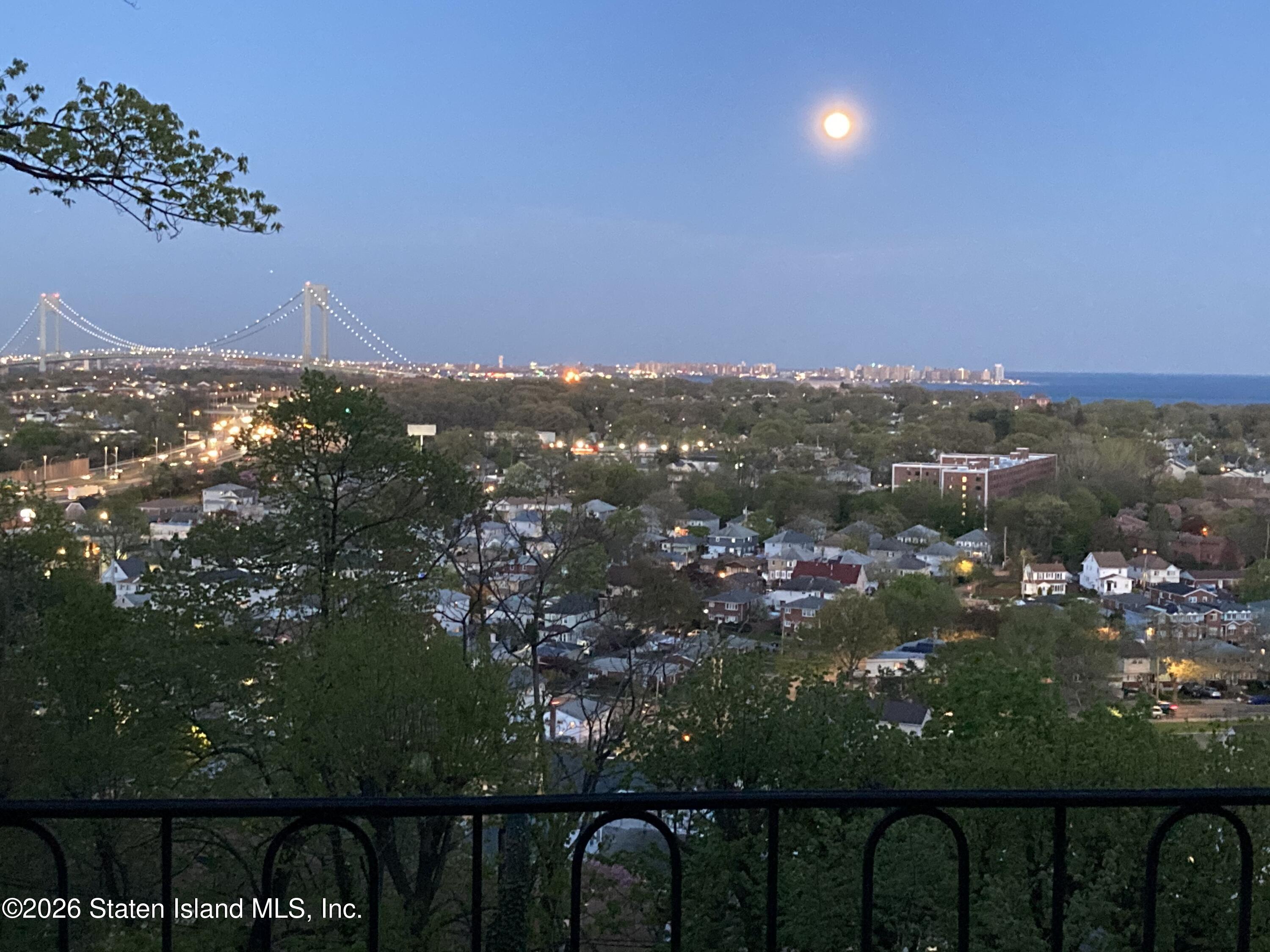 93 Douglas Road Staten Island, NY 10304 - Photo 12 of 41 IMG_5901