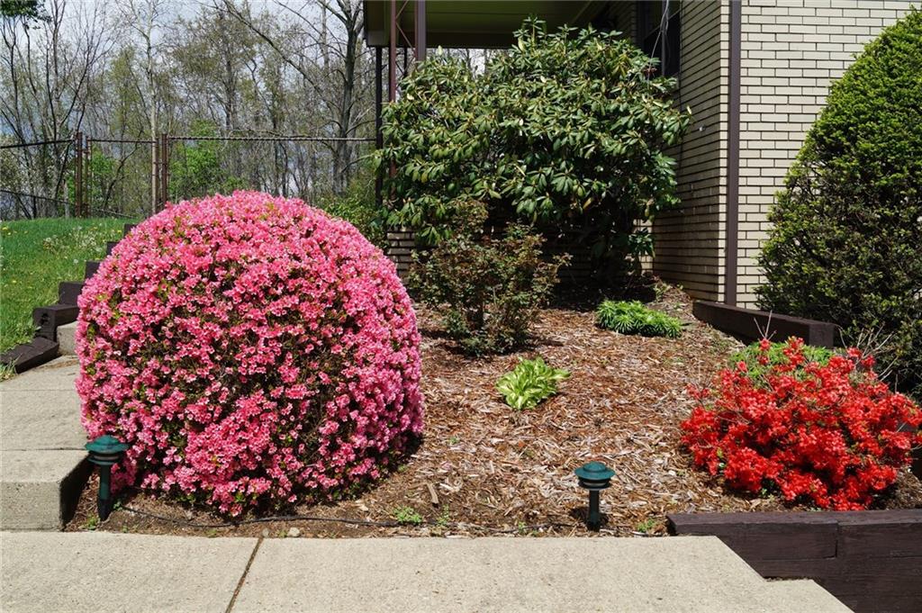 43 Munntown Road Eighty Four, PA 15330 - Photo 20 of 25 Exterior Front flowers 43 Munntown Road