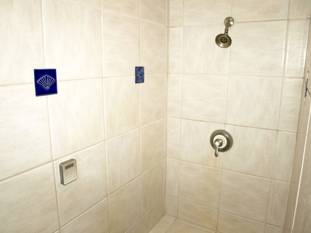659 Aberdeen Road Inverness, IL 60067 - Photo 21 of 25 a bathroom with a shower