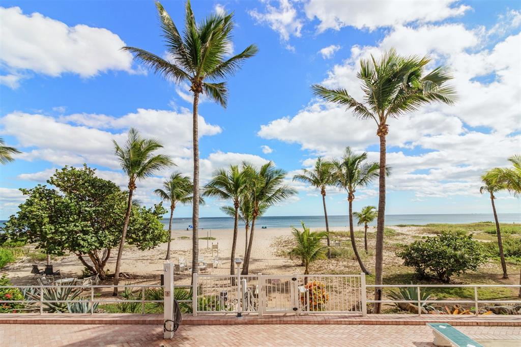 710 North Ocean Boulevard, Unit 806 Pompano Beach, FL 33062 - Photo 18 of 19 a view of a palm tree with a flower