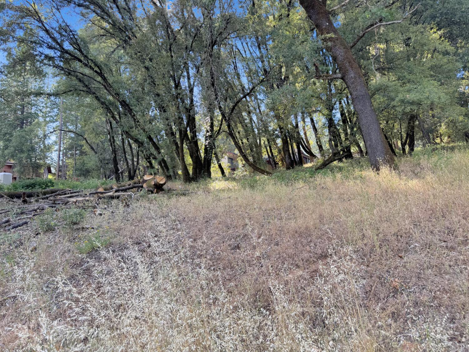 15340 Brewer Road Grass Valley, CA 95949 - Photo 8 of 8