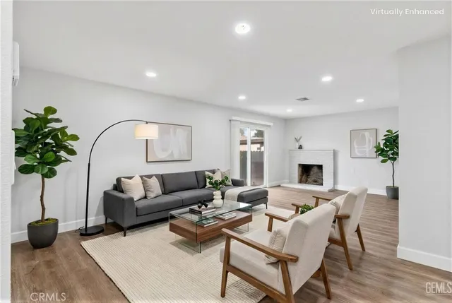 a living room with furniture potted plant and a fireplace