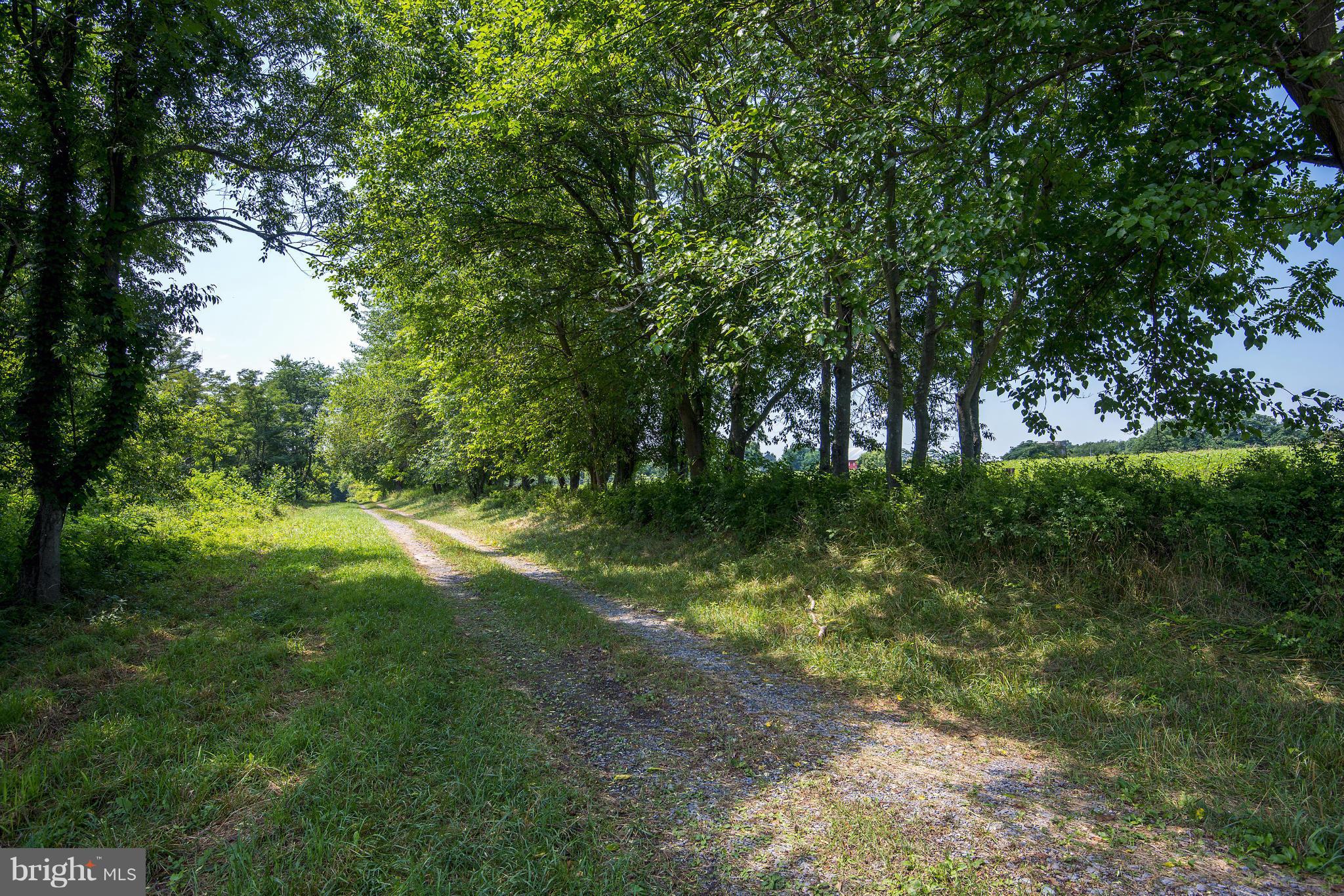 19010 Beallsville Road Poolesville, MD 20837 - Photo 14 of 25 View