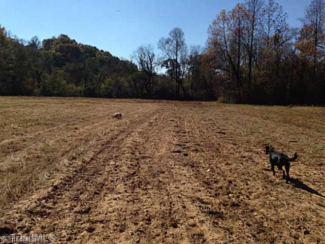 1661 Trinity Church Road Pinnacle, NC 27043 - Photo 1 of 15 Land.