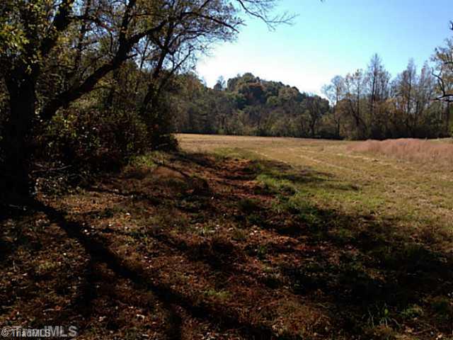 1661 Trinity Church Road Pinnacle, NC 27043 - Photo 11 of 15 Land.