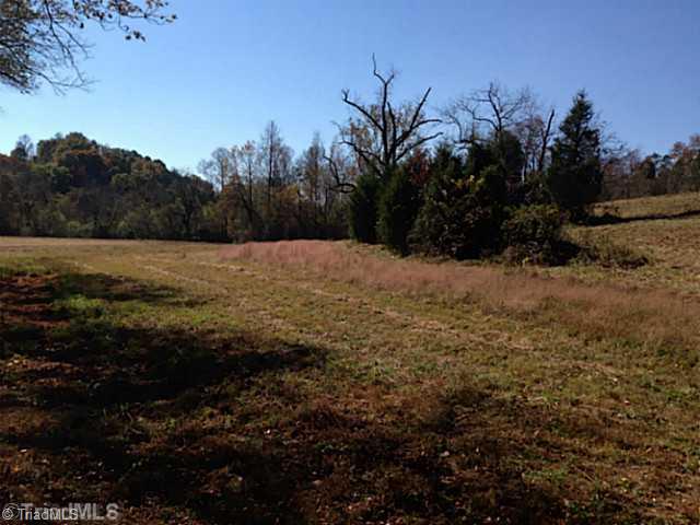 1661 Trinity Church Road Pinnacle, NC 27043 - Photo 13 of 15 Land.