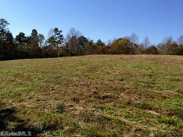 1661 Trinity Church Road Pinnacle, NC 27043 - Photo 14 of 15 Land.