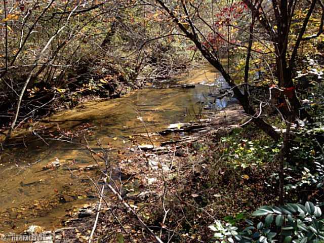 1661 Trinity Church Road Pinnacle, NC 27043 - Photo 4 of 15 Land. River frontage