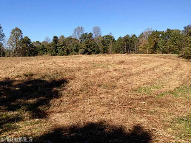 1661 Trinity Church Road Pinnacle, NC 27043 - Photo 6 of 15 Land.