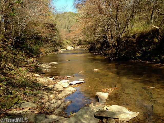 1661 Trinity Church Road Pinnacle, NC 27043 - Photo 7 of 15 Land. River frontage