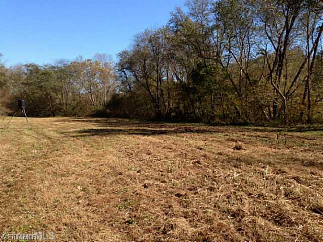 1661 Trinity Church Road Pinnacle, NC 27043 - Photo 8 of 15 Land.