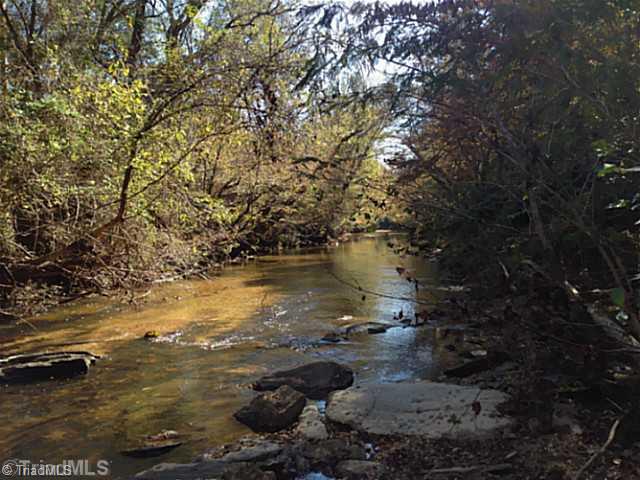 1661 Trinity Church Road Pinnacle, NC 27043 - Photo 10 of 15 Land. River frontage