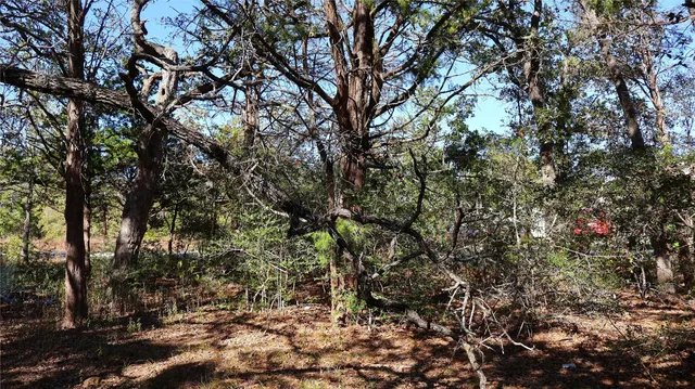 a view of staircase with wooden floor and a potted plant
