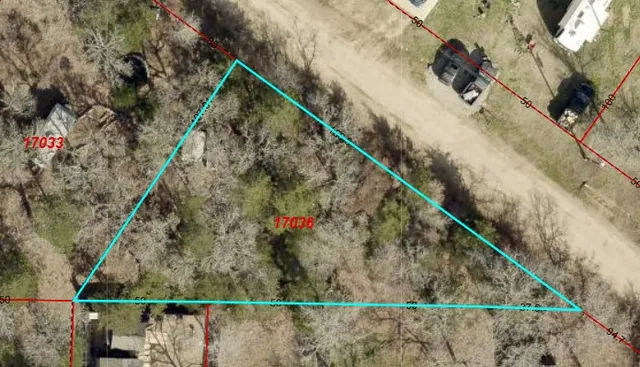 a view of yard and tree