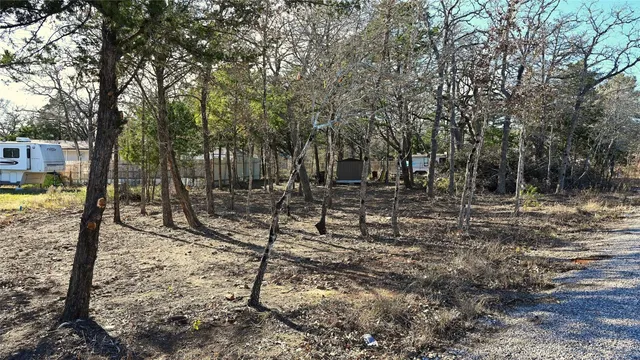 a view of outdoor space with trees