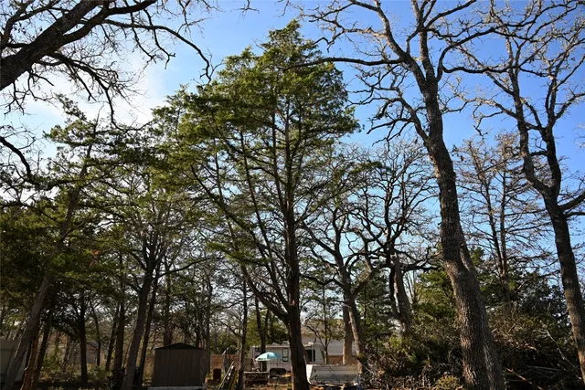 $42,500 | Tbd Choctaw Trail Drive, Smithville, TX 78957