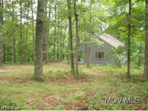 0 C Road Macfarlan, WV 26148 - Photo 11 of 17