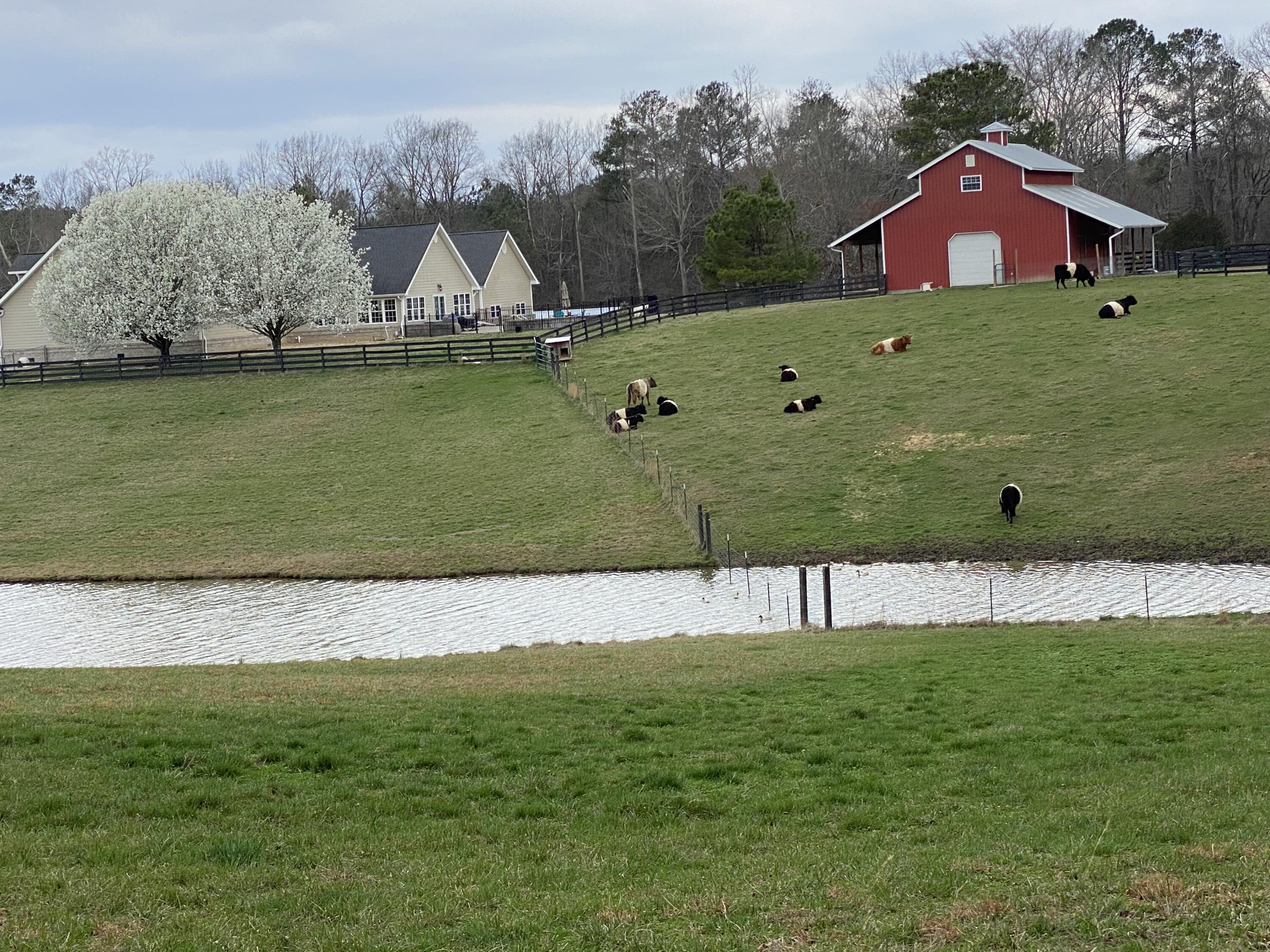 255 Ramsey Bridge Road Southeast Cleveland, TN 37323 - Photo 4 of 72 5B7CFE11-0074-4AB7-899D-BC5C572A3E0D