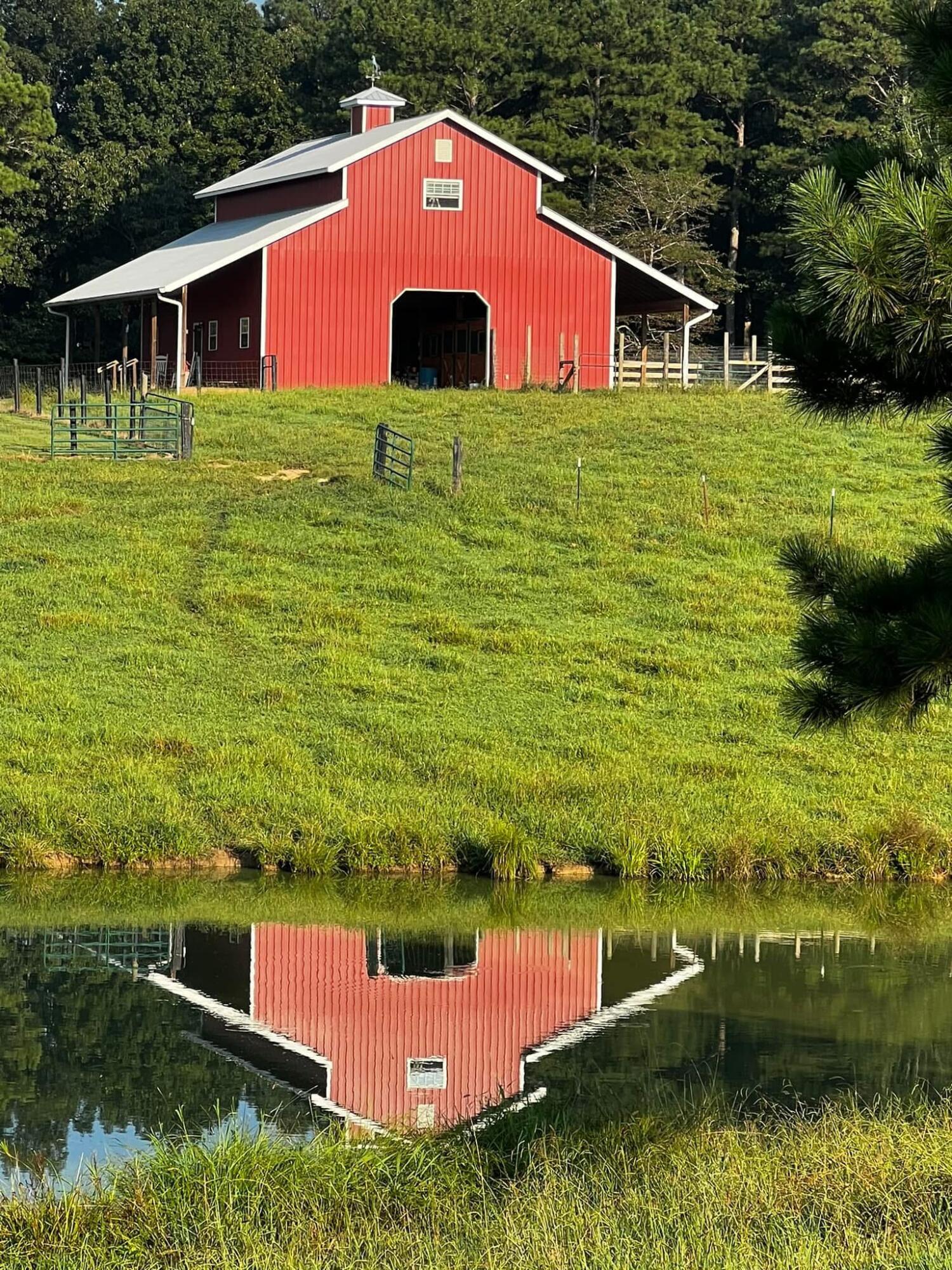 255 Ramsey Bridge Road Southeast Cleveland, TN 37323 - Photo 5 of 72 IMG_3780