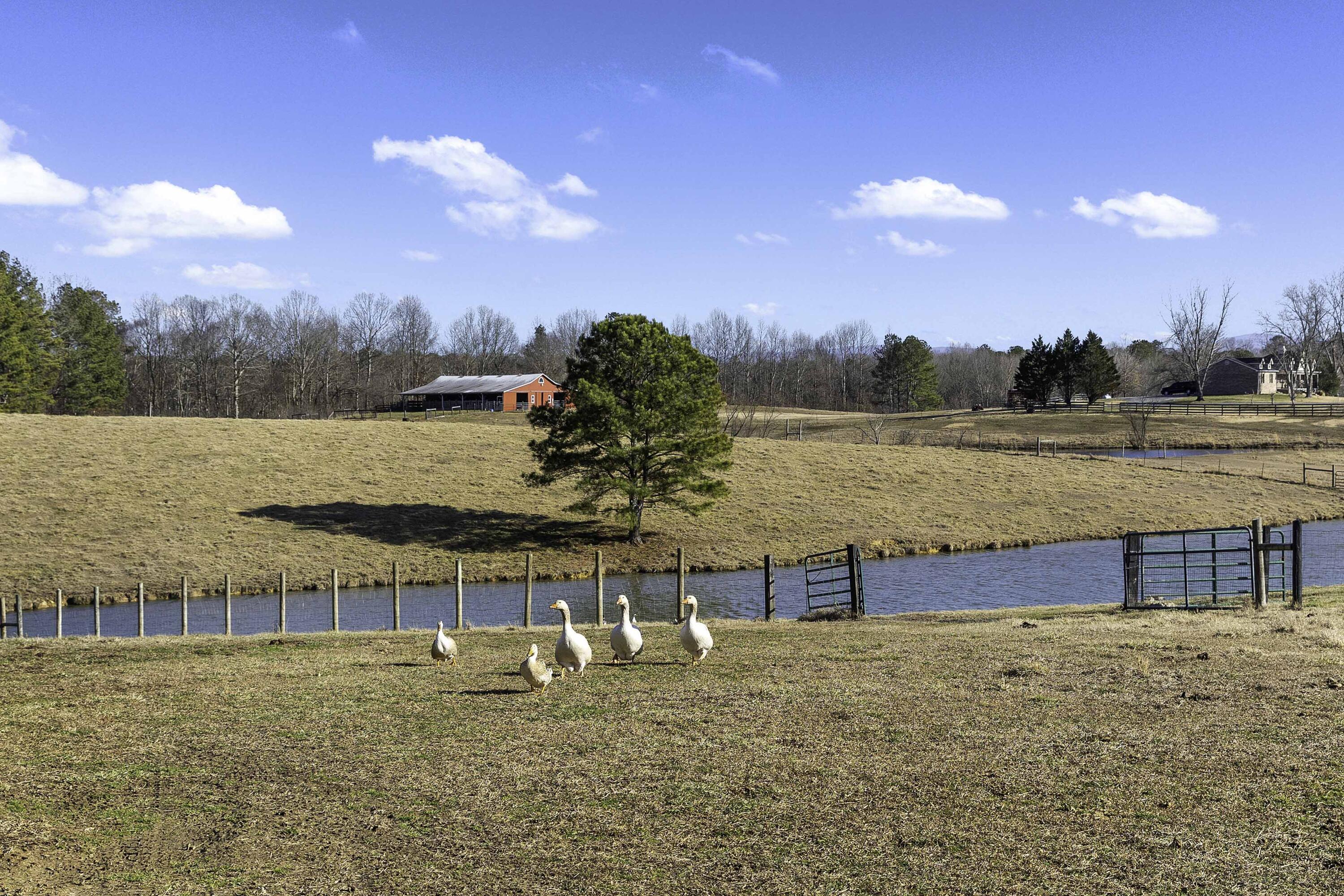 255 Ramsey Bridge Road Southeast Cleveland, TN 37323 - Photo 64 of 72 L40A2829