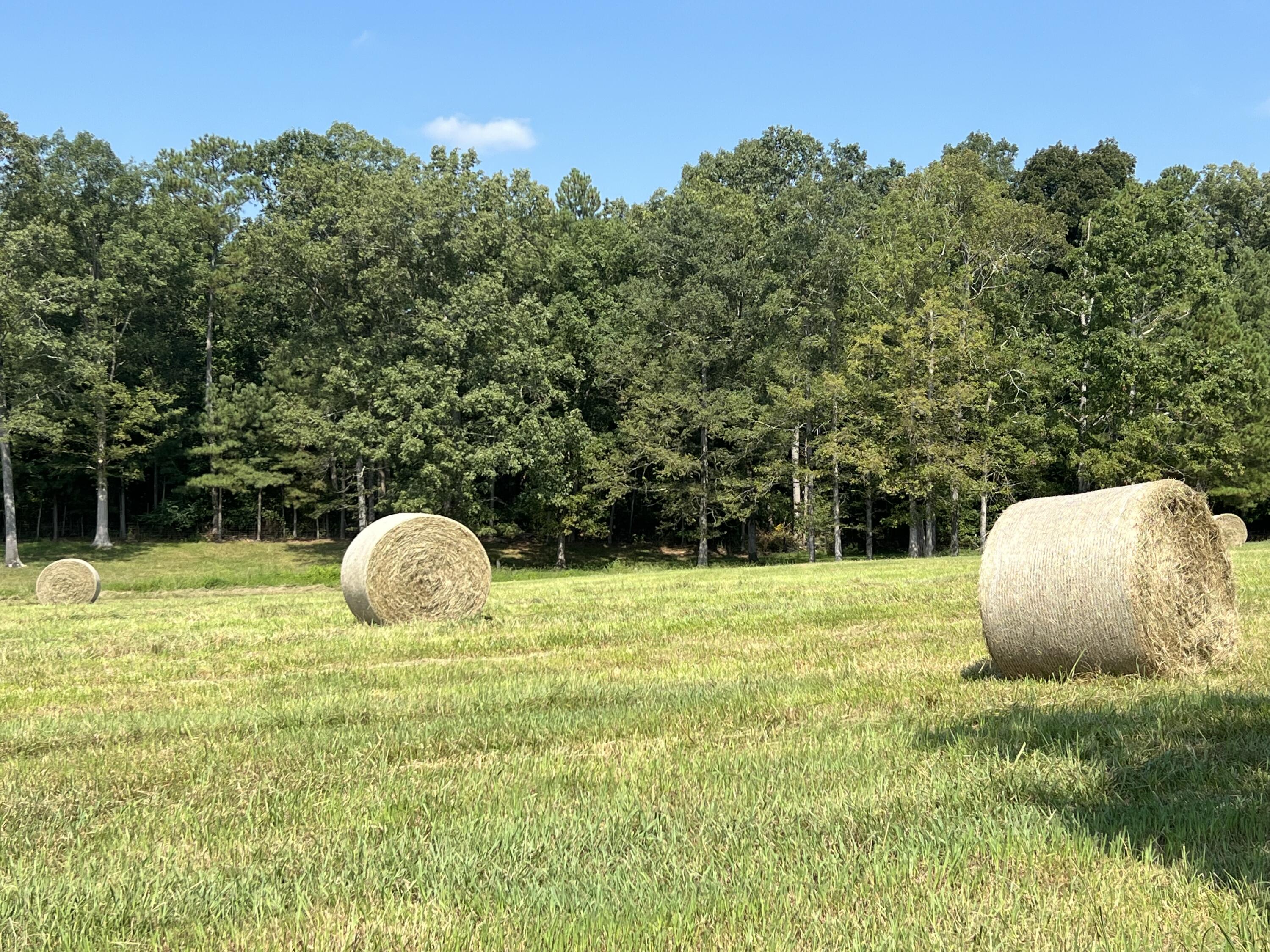 255 Ramsey Bridge Road Southeast Cleveland, TN 37323 - Photo 67 of 72 IMG_2149