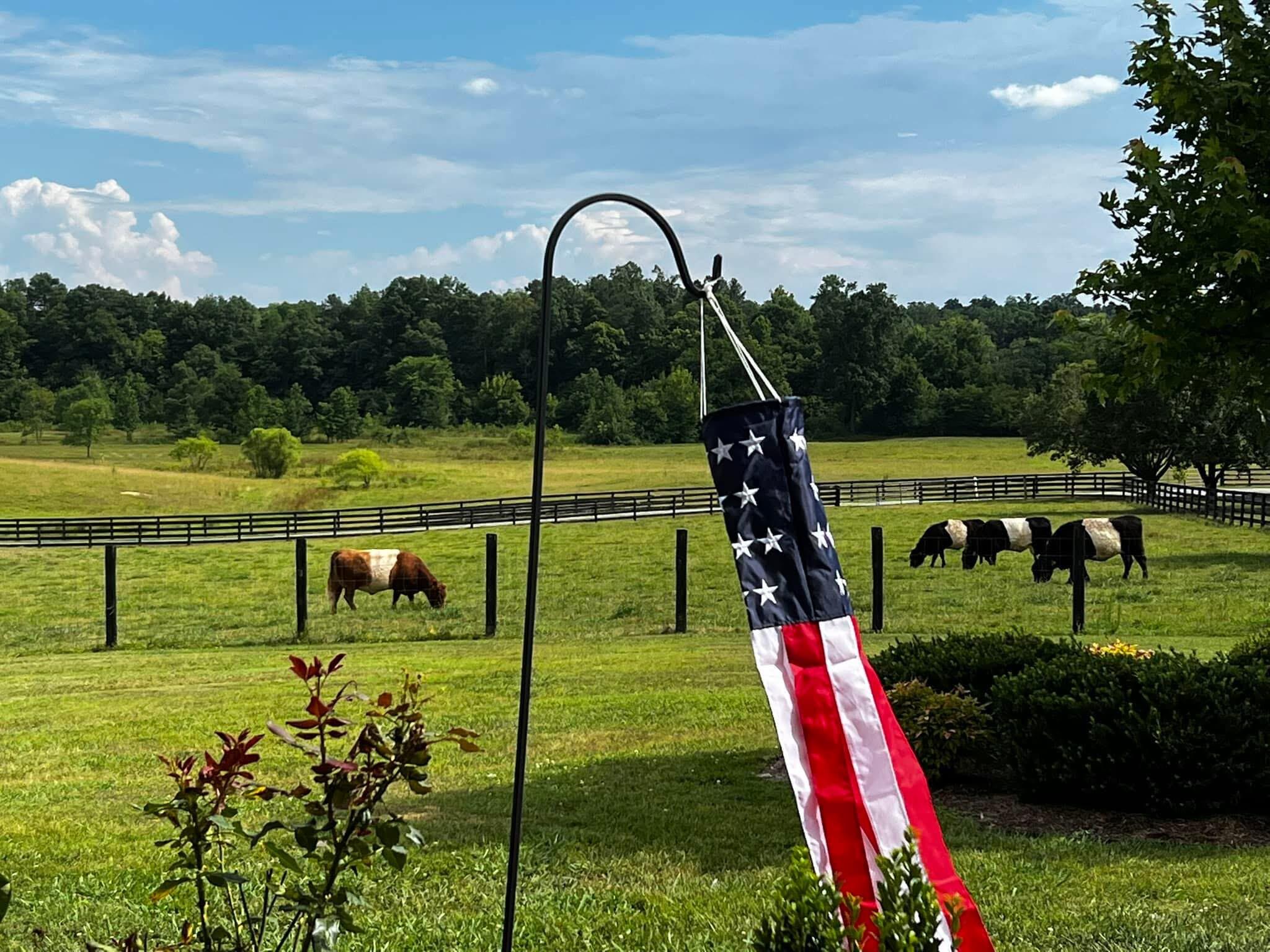 255 Ramsey Bridge Road Southeast Cleveland, TN 37323 - Photo 68 of 72 IMG_3779