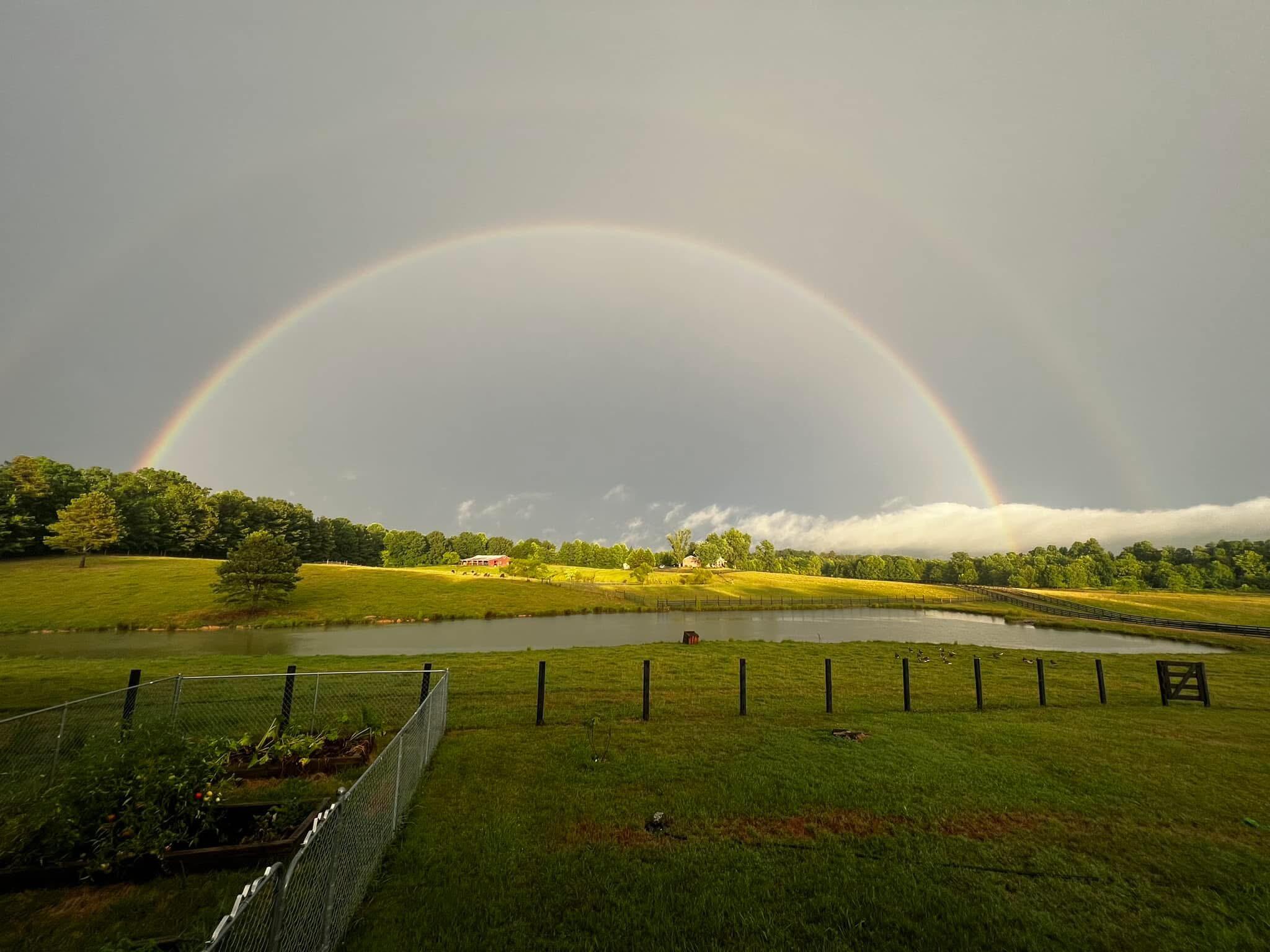 255 Ramsey Bridge Road Southeast Cleveland, TN 37323 - Photo 70 of 72 IMG_3782