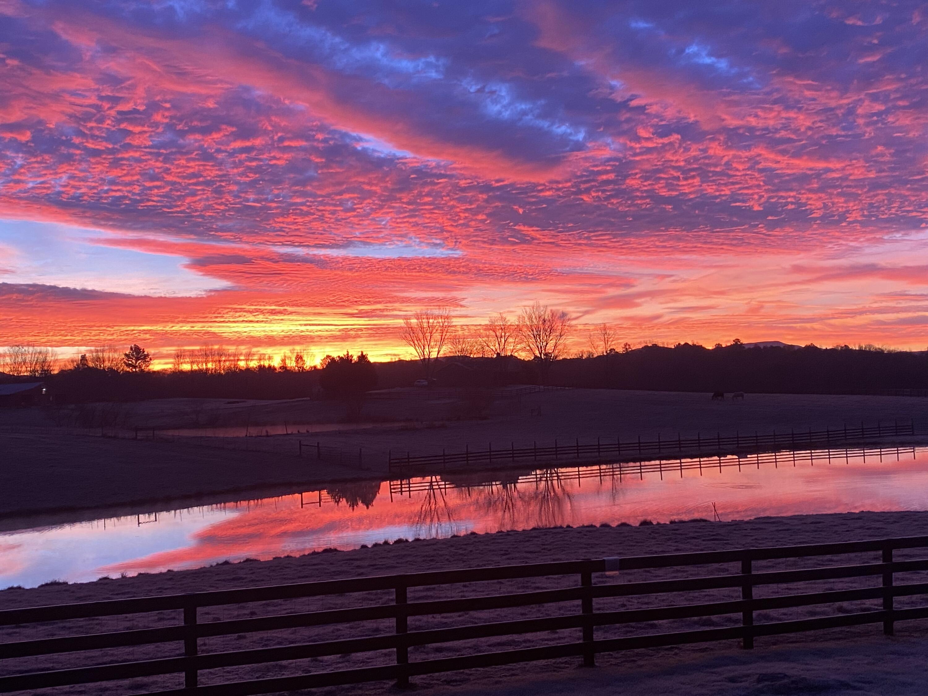 255 Ramsey Bridge Road Southeast Cleveland, TN 37323 - Photo 7 of 72 IMG_5513